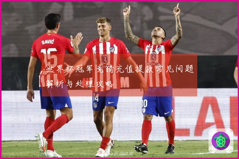 世界杯冠军竞猜充值提款常见问题解析与处理攻略