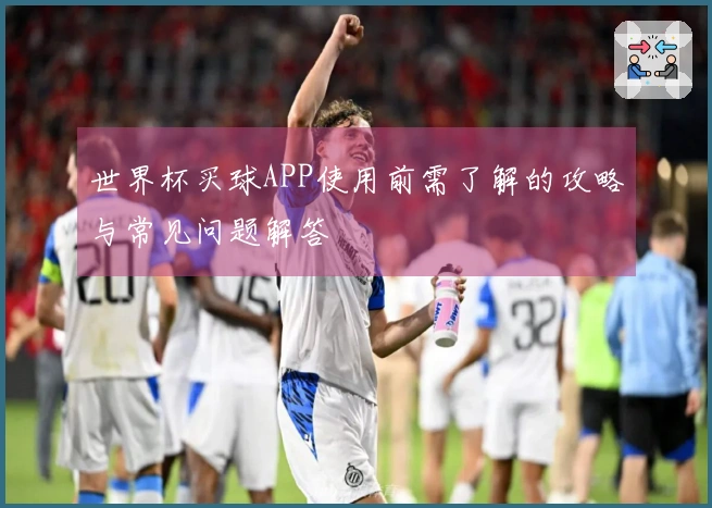 世界杯买球APP使用前需了解的攻略与常见问题解答