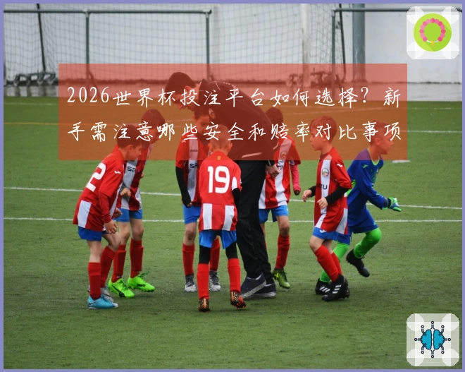 2026世界杯投注平台如何选择？新手需注意哪些安全和赔率对比事项