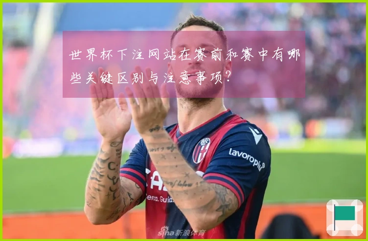 世界杯下注网站在赛前和赛中有哪些关键区别与注意事项？