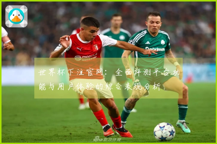 世界杯下注官网：全面评测平台功能与用户体验的综合表现分析