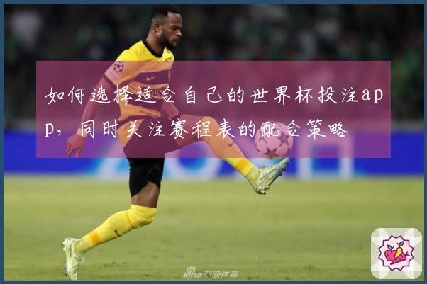 如何选择适合自己的世界杯投注app，同时关注赛程表的配合策略