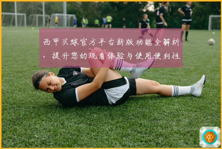西甲买球官方平台新版功能全解析,提升您的观看体验与使用便利性