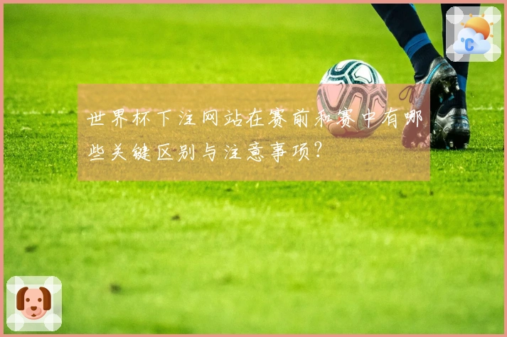世界杯下注网站在赛前和赛中有哪些关键区别与注意事项？