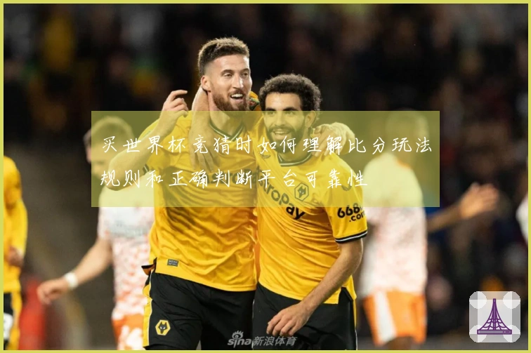 买世界杯竞猜时如何理解比分玩法规则和正确判断平台可靠性