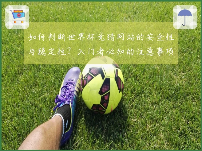 如何判断世界杯竞猜网站的安全性与稳定性？入门者必知的注意事项