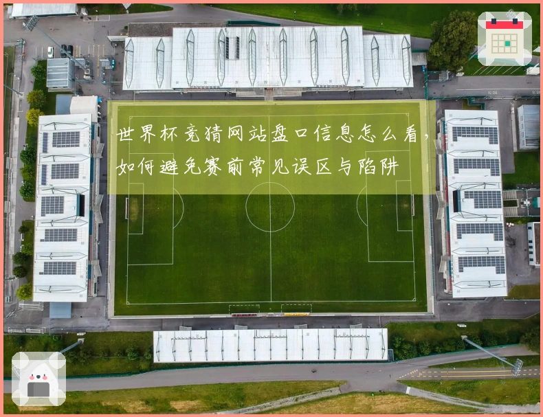 世界杯竞猜网站盘口信息怎么看，如何避免赛前常见误区与陷阱
