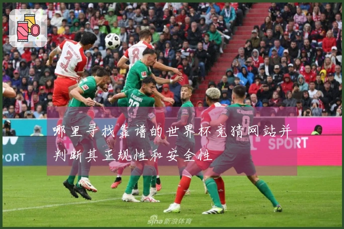 哪里寻找靠谱的世界杯竞猜网站并判断其正规性和安全性