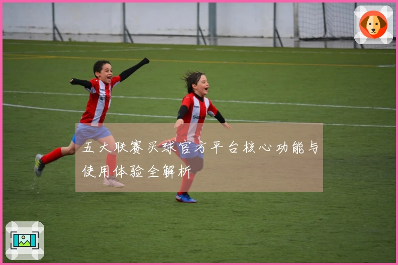 五大联赛买球官方平台核心功能与使用体验全解析