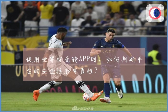 使用世界杯竞猜APP时，如何判断平台的安全性和可靠性？