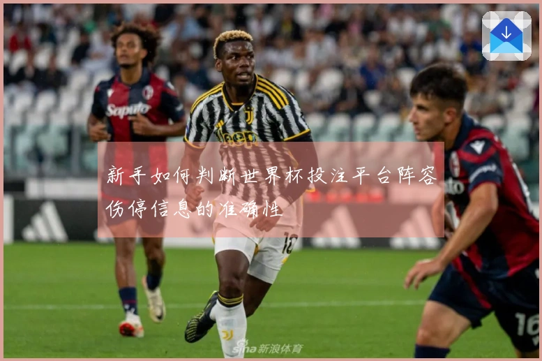 新手如何判断世界杯投注平台阵容伤停信息的准确性