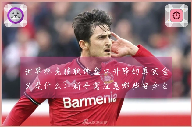 世界杯竞猜软件盘口升降的真实含义是什么？新手需注意哪些安全合规问题？