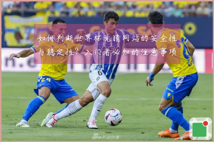 如何判断世界杯竞猜网站的安全性与稳定性？入门者必知的注意事项
