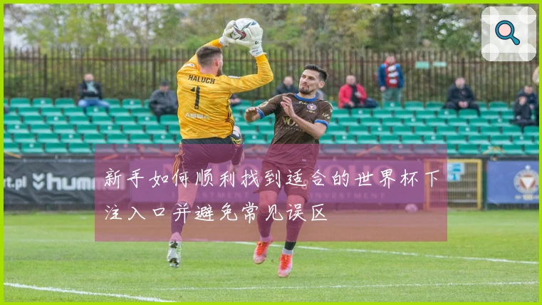 新手如何顺利找到适合的世界杯下注入口并避免常见误区