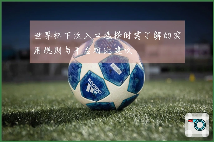 世界杯下注入口选择时需了解的实用规则与平台对比建议