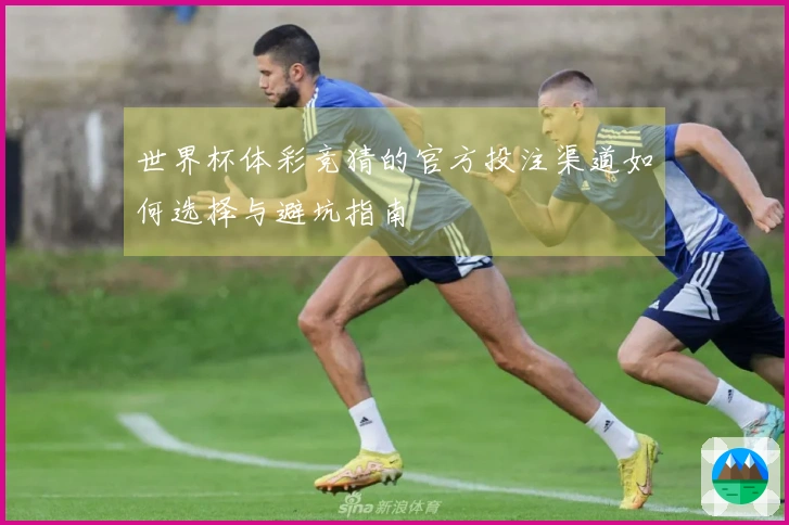 世界杯体彩竞猜的官方投注渠道如何选择与避坑指南
